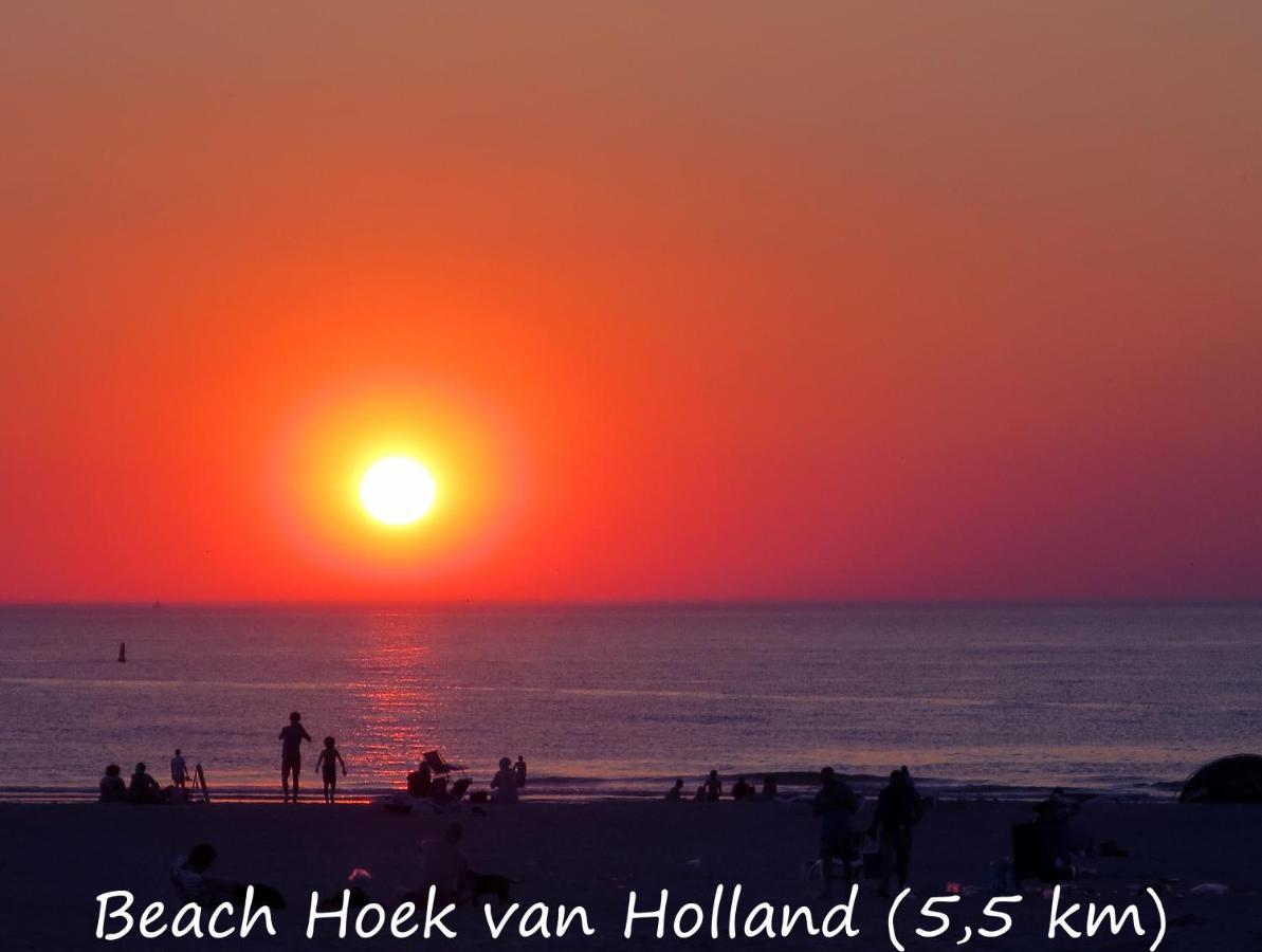 Dutchduochalet37 s-Gravenzande Kültér fotó