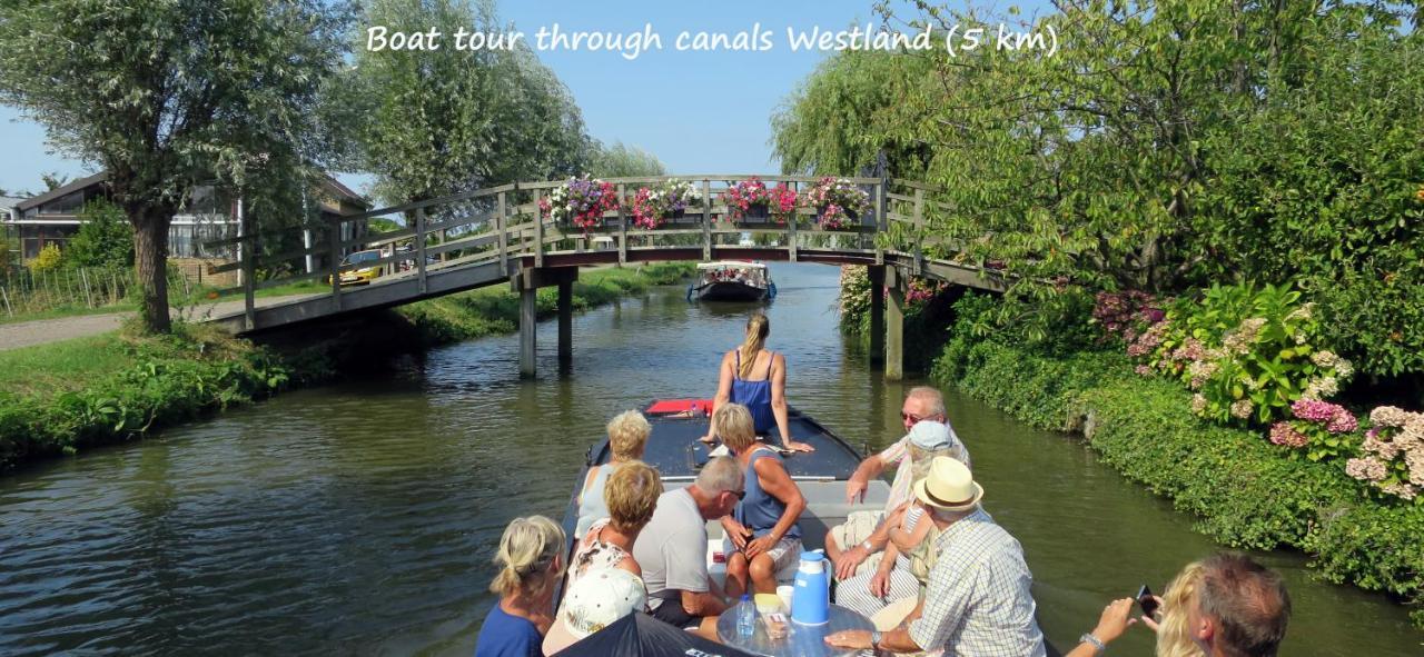 Dutchduochalet37 s-Gravenzande Kültér fotó