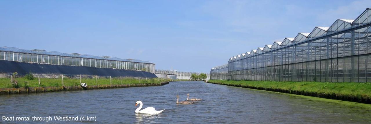 Dutchduochalet37 s-Gravenzande Kültér fotó